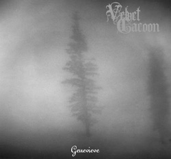 Velvet Cacoon